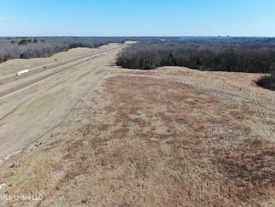 252 Shinpoch Ln, Olive Branch, MS 38654 - photo 3