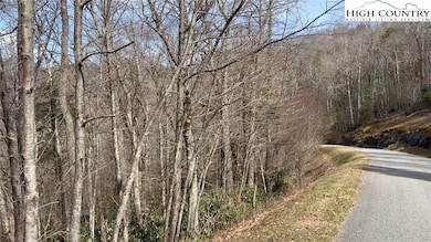 TBD Lot 120 Firethorn Trail, Blowing Rock, NC 29605 - photo 6