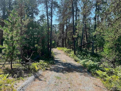 119 Gordon Rd, Harvey, MI 49855 - photo 4