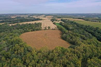 0 County Rd N unit 24131078, Blanchard, WI 53516 - photo 3