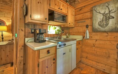 28 Briar Creek Rd, Ellijay, GA 30540 - photo 4