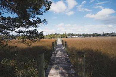 00 SW 279th Ave, Steinhatchee, FL 32359 - photo 5