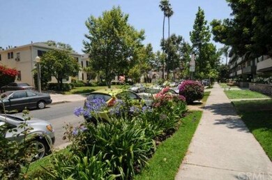 Tree-lined street