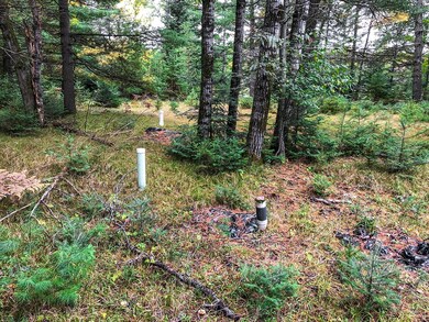 W8603 Wauwatosa Ave, Tomahawk, WI 54487 - photo 4