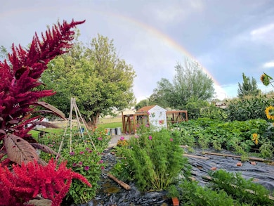 415 Holdrege Ave, Basin, WY 82410 - photo 7