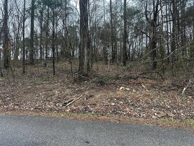 0 N Gillock Rd, Glasgow, KY 42141 - photo 5