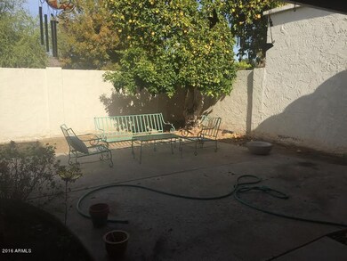 Back Yard