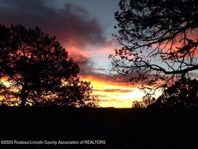 Enchanted Forest sunrise2