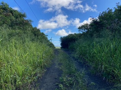 94-6374 Pele St, Naalehu, HI 96772 - photo 7