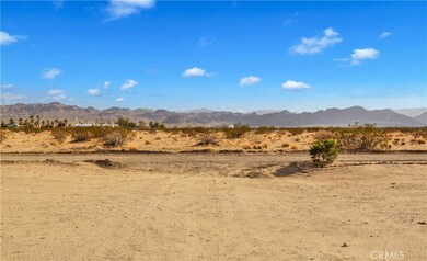64184 Sun Mesa Rd, Joshua Tree, CA 92252 - photo 4