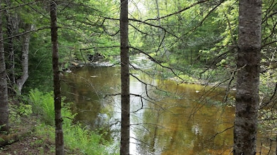 20190601_113036_resized