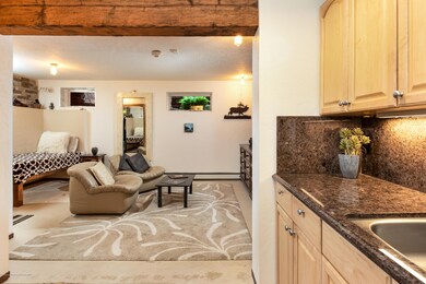 718 S Mill St unit 13, Aspen, CO 81611 - photo 5