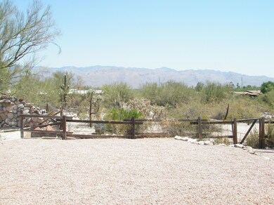 View from the Patio