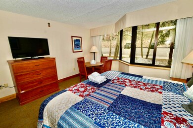 6 Emmons Rd unit 113, Crested Butte, CO 81225 - photo 6