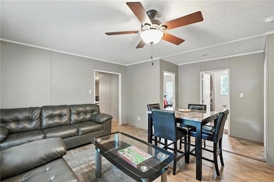 Living room featuring ceiling fan, light wood finished floors, a textured ceiling, and crown molding