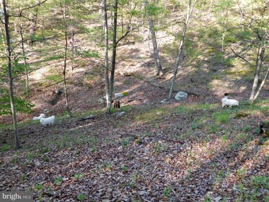 115 Trough View Rd, Moorefield, WV 26836 - photo 6