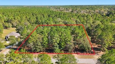 2020 White Buck Ct, Cleveland, TX 77328 - photo 2