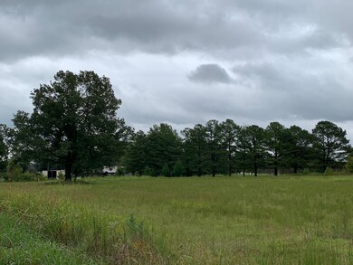View of nature
