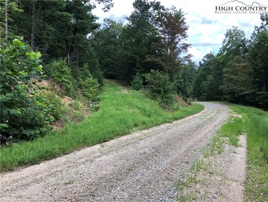 Lot 212 Casey Mountain Rd, Purlear, NC 28665 - photo 4