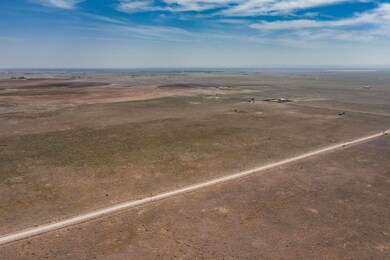 SW4SE4 S Langley Rd, Estancia, NM 87016 - photo 6
