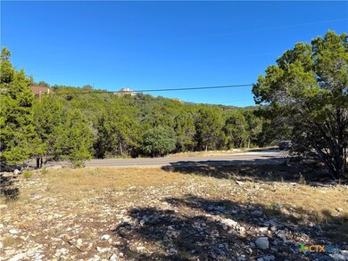 2114 Johnson Rd, Canyon Lake, TX 78133 - photo 6