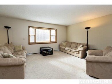 4792 Sycamore Trail, Maple Plain, MN 55359 - photo 7