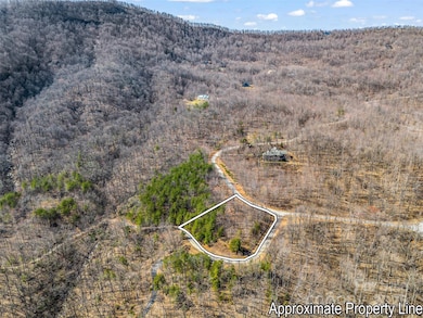 190 Cherry Hill None, Mill Spring, NC 28756 - photo 3