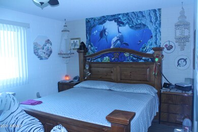 10034 W Andover Ave, Sun City, AZ 85351 - photo 3