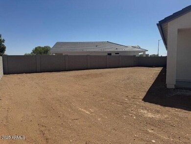 499 backyard 2