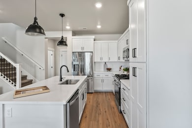 Goldfinch Model Kitchen