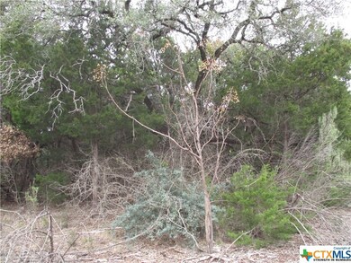 000 County Road 4818, Kempner, TX 76539 - photo 3