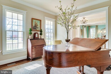 8707 Winthrop Dr, Alexandria, VA 22308 - photo 6