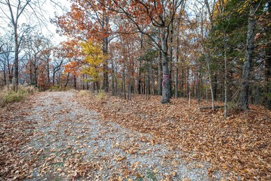 Tbd Whispering Hill Dr, Pine A Township, MO 65611 - photo 5