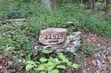 22423 Cold Spring Rd, Smithsburg, MD 21783 - photo 5