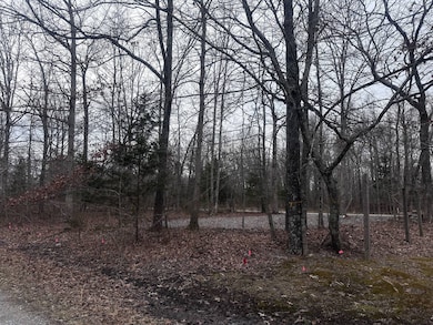 Lot 10 Spring Cir, Beechgrove, TN 37018 - photo 3