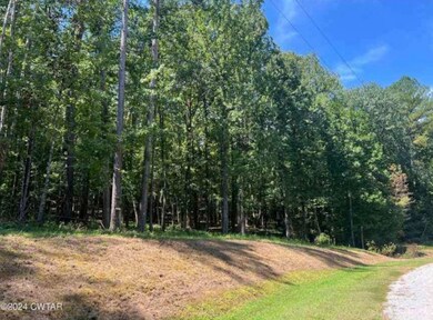 233 Zara Spook Dr, Cedar Grove, TN 38321 - photo 4