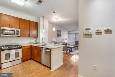 8005 13th St unit 102, Silver Spring, MD 20910 - photo 7