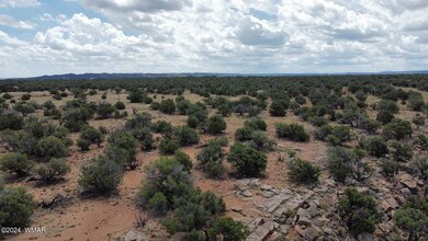 dji_fly_20240702_104450_489_171994230434