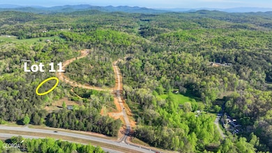 LOT 11 Greenfield Rd, Morganton, GA 30560 - photo 2