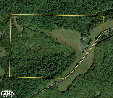 6955 Chadwick Rd, Chadwick, MO 65629 - photo 3