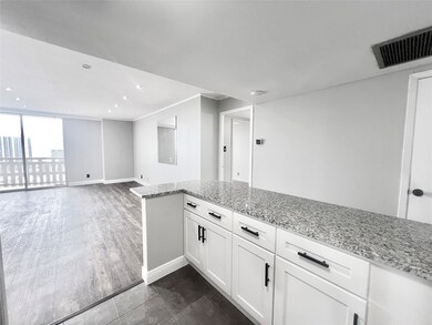 Open concept Kitchen