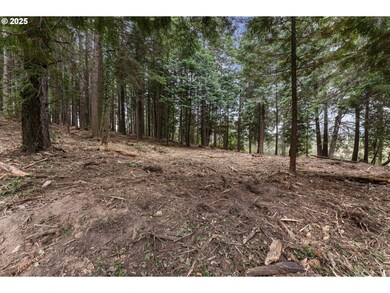 0 Newmark St unit 23622120, North Bend, OR 97459 - photo 2