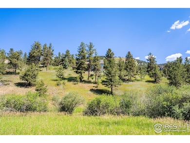 1213 Primos Rd, Boulder, CO 80302 - photo 5