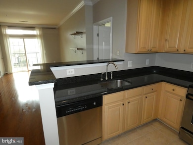 The Grove At Arlington unit 1215, Arlington, VA 22206 - photo 7