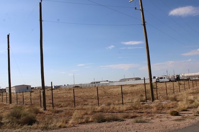 2109 Crockett Ave, Midland, TX 79703 - photo 6