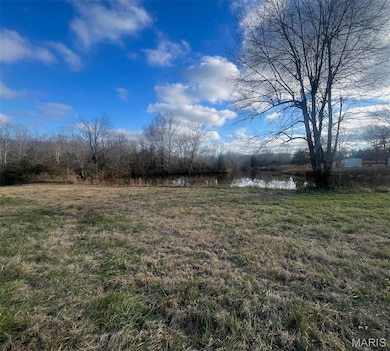 3146 Ripley 142e-28, Fairdealing, MO 63939 - photo 3