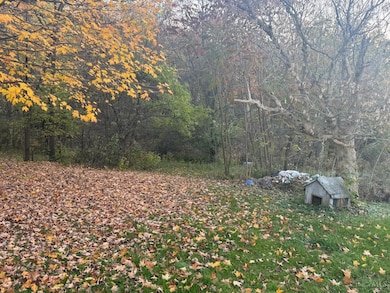 274 Chambliss Rd, Bainbridge, OH 45612 - photo 6