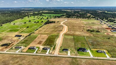 Lot 12 Three Quarter Loop, Poolville, TX 76487 - photo 6