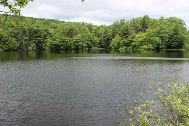 View of a neighboring pond