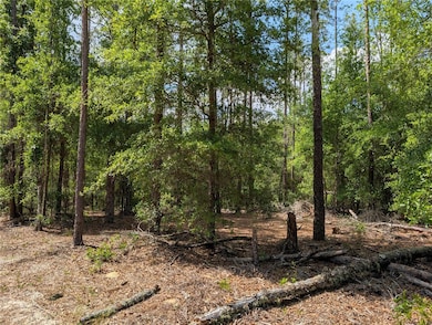 TBD SW 93rd Ln, Dunnellon, FL 34431 - photo 3